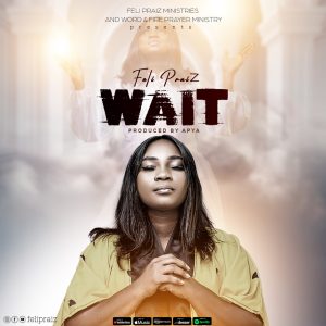 Feli Praiz - Wait Artwork